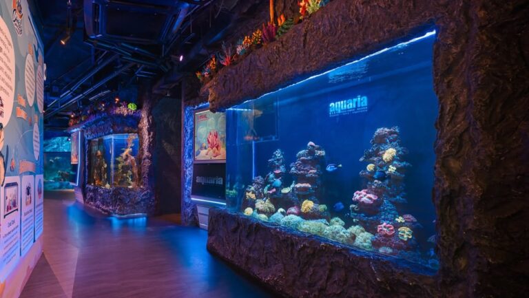 Aquaria KLCC 2